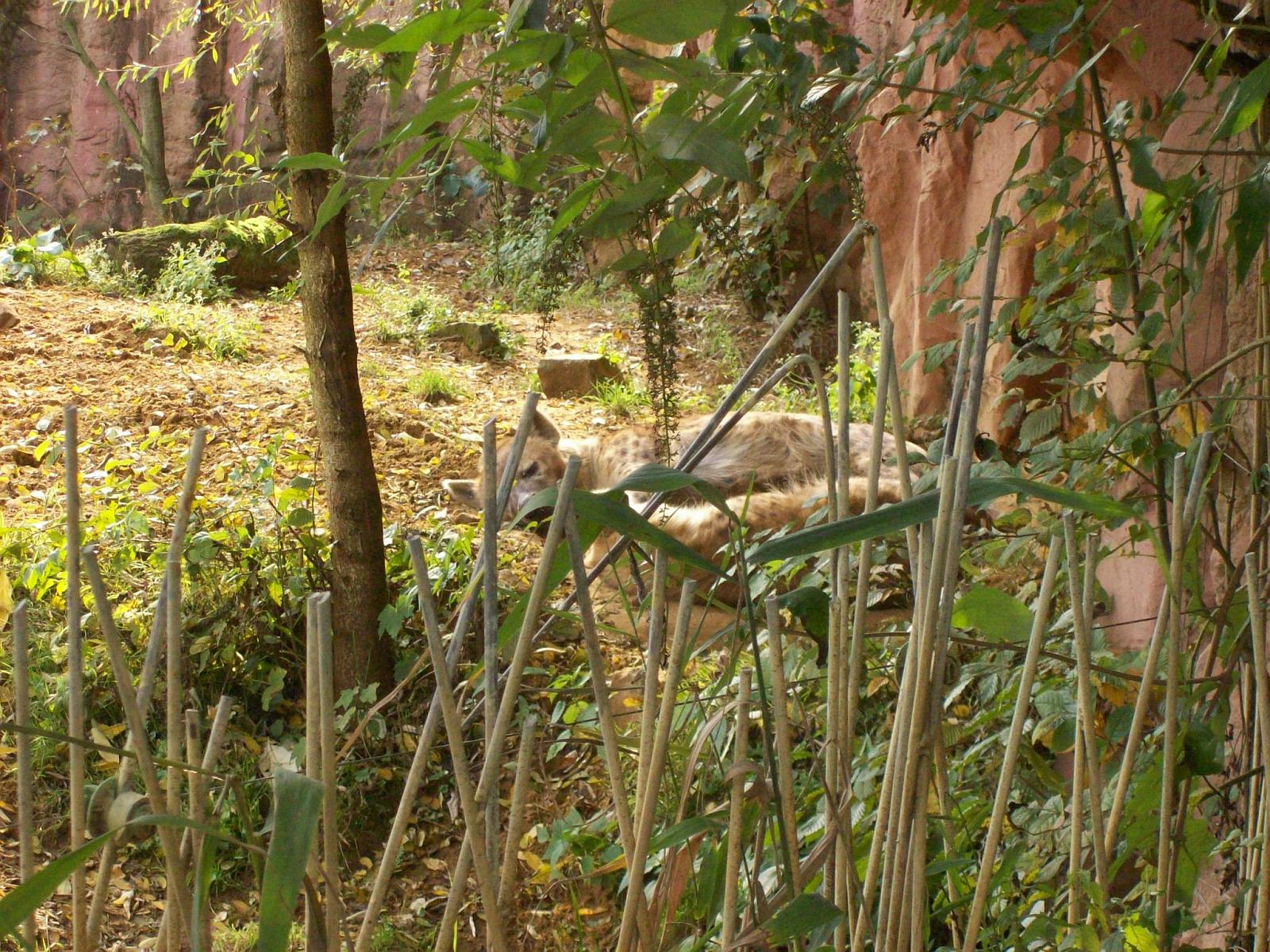 Zoom 18.10.2008-064.jpg